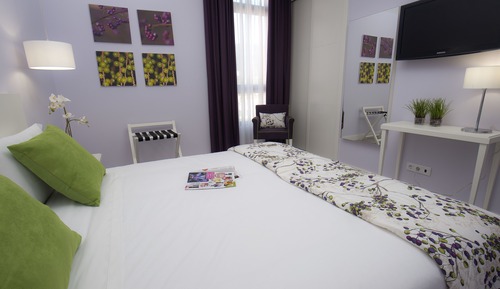Double or Twin Room