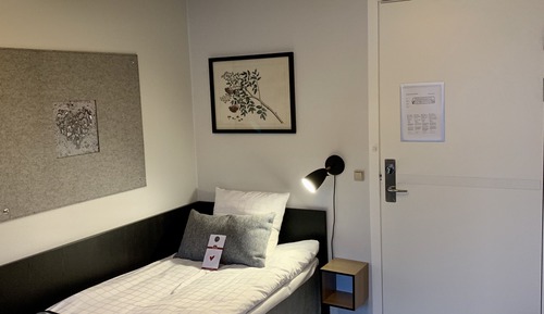 Basic Single Room
