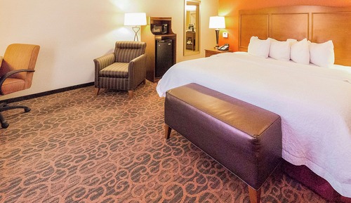 Room, 1 King Bed, Accessible