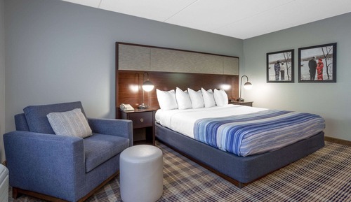 Room, 1 King Bed, Non Smoking