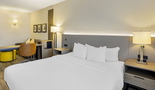 Suite, 1 King Bed with Sofa bed, Non Smoking (Efficiency)