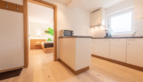 Superior Apartment, 1 Bedroom, Balcony (45 Square Meters)