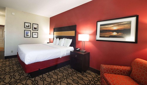 Room, 1 King Bed, Non Smoking