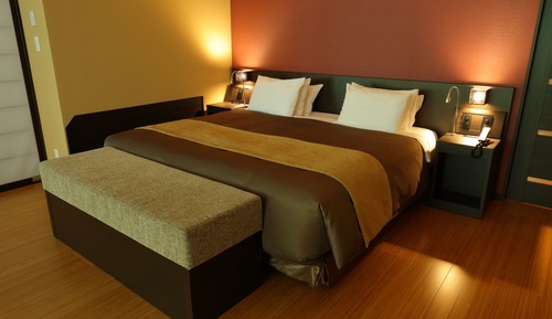 311 Deluxe King Bed Room with Indoor Silver Hot Springs , Non smoking