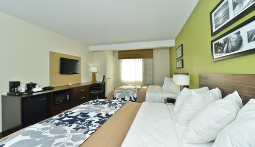 Standard Room, 2 Queen Beds