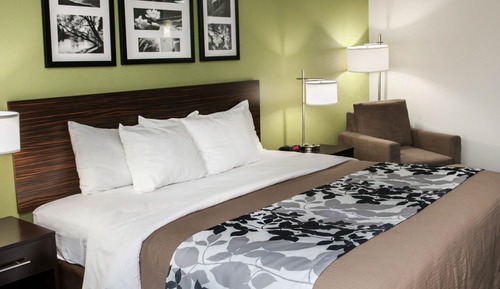 Room, 1 King Bed, Accessible, Non Smoking