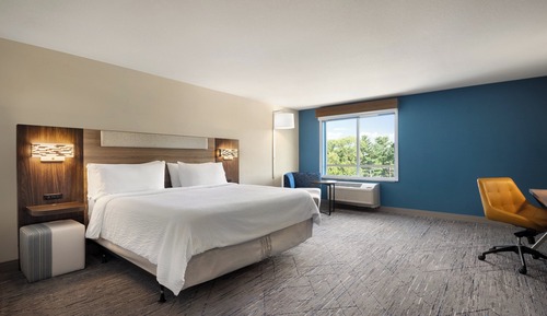 Suite, 1 King Bed with Sofa bed