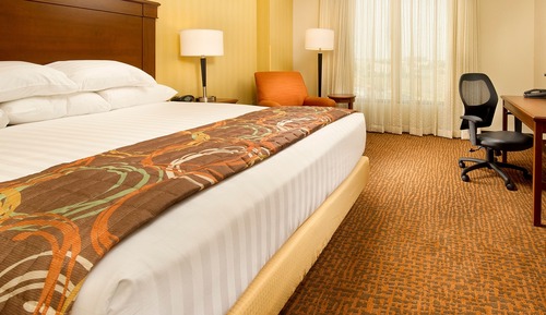 Deluxe Room, 1 King Bed with Sofa bed, Refrigerator & Microwave (Hearing Accessible)