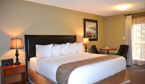 Superior Single Room