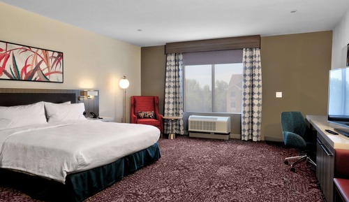 Room, 1 King Bed, Accessible, Bathtub