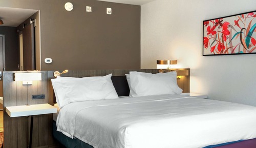 Deluxe Room, 1 King Bed, Accessible