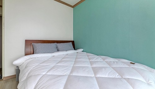 Basic Room, 1 Bedroom (306(mountain view))