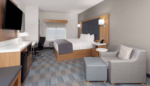 Room, 1 King Bed, Bathtub Grab Bars (Mobility Accessible)