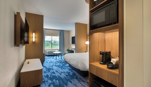 Suite, 1 King Bed with Sofa bed