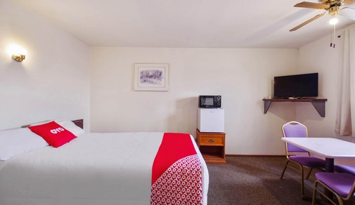 Room, 1 Queen Bed