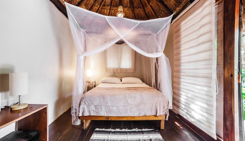 Economy Cabin