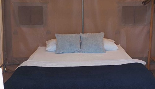Basic Tent
