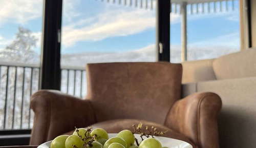 Trysil Alpine Lodge Prestige Mountain view