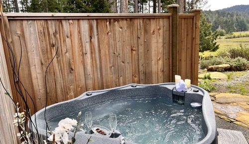 Luxury Queen Room with patio and hot tub (#105)