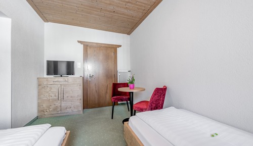 Double or Twin Room