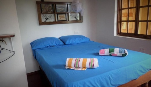 Basic Double Room