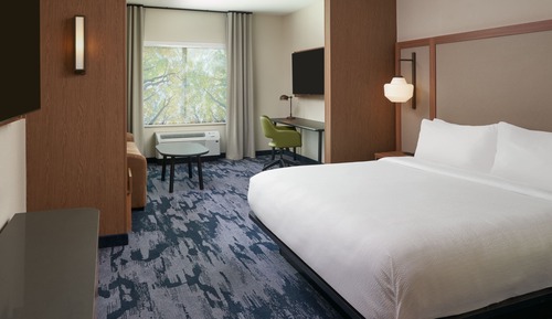 Suite, 1 King Bed with Sofa bed