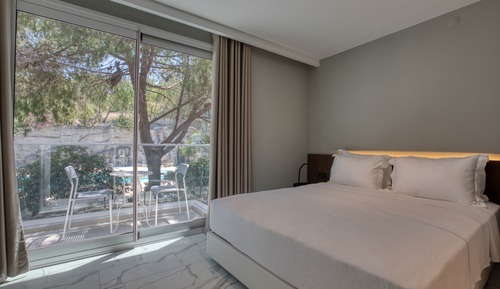 Premium Double Room, Private Bathroom, Pool View