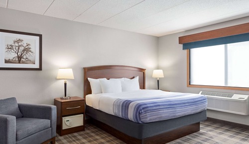 Room, 1 King Bed, Non Smoking