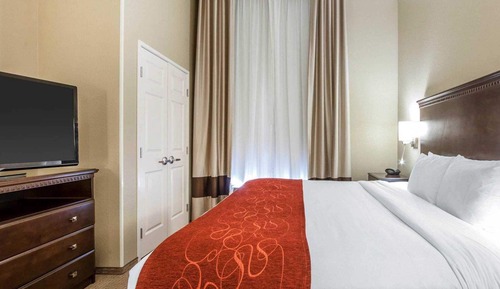 Executive Suite, 1 King Bed with Sofa bed, Non Smoking