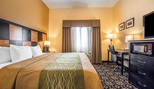 Standard Room, 1 King Bed, Non Smoking