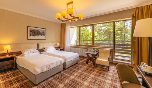 Standard Double Room (w Rezydencji)