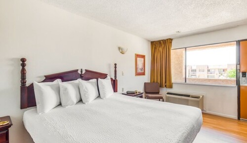 Room, 1 King Bed
