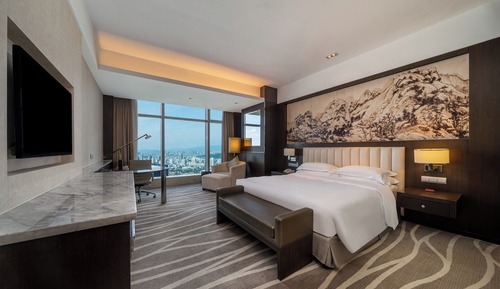 Standard Room, 1 King Bed, City View