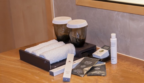Executive Twin Room