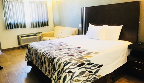Room, 1 King Bed