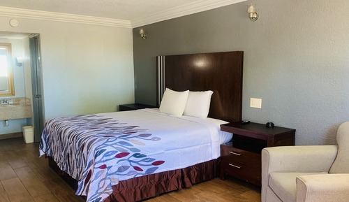 Room, 1 King Bed, Smoking