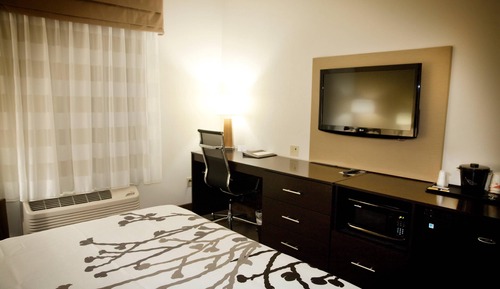 Standard Room, 1 King Bed, Non Smoking
