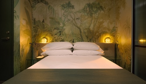 Basic Double Room