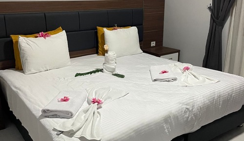 Basic Double or Twin Room