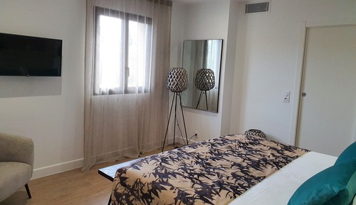 Luxury Apartment