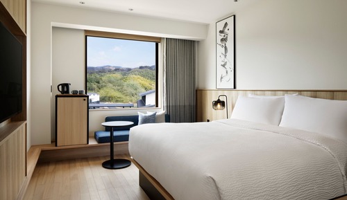 Standard Room, 1 King Bed, Non Smoking
