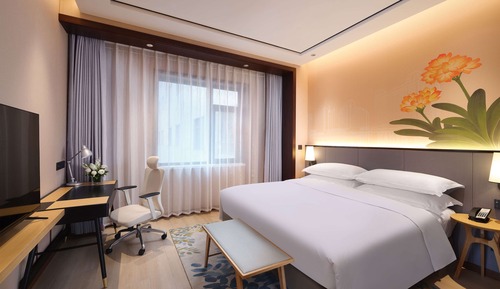 Room, 1 King Bed