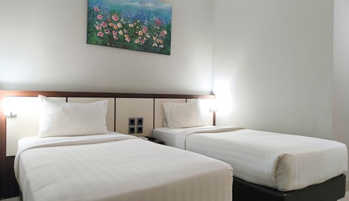 Superior Non Smoking Double or Twin Room (No Windows room)