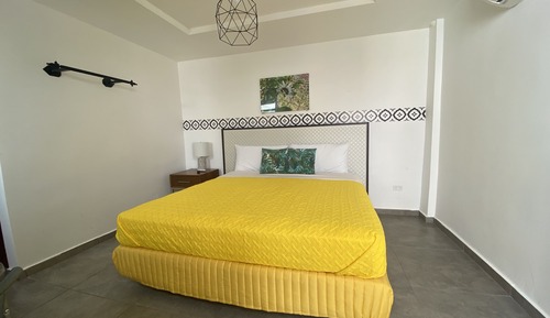 Room, 1 King Bed