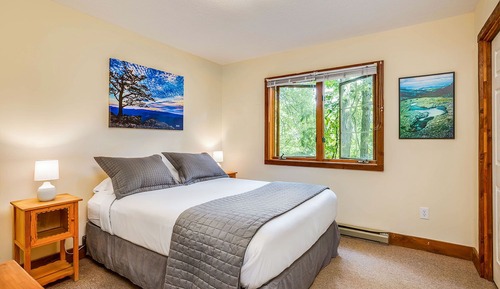 Kennedy Ridge Cabin, 1 King Bed with Sofa bed, Jetted Tub, Mountain View