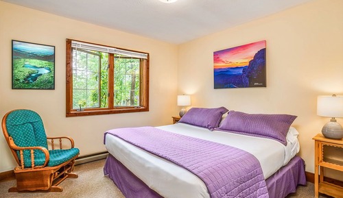 Dripping Rock Cabin, 1 King Bed with Sofa bed, Jetted Tub, Mountain View