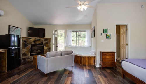 Bee Mountain Cabin, 1 Queen Bed, Jetted Tub, Mountain View