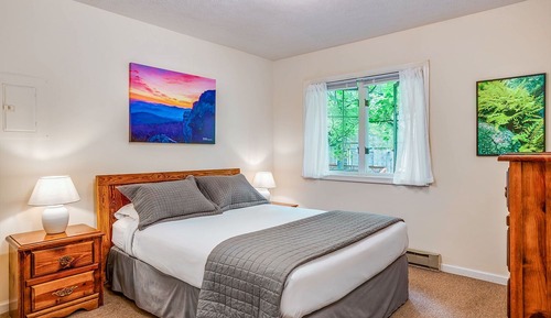 Meadow Mountain Cabin, 1 King Bed with Sofa bed, Jetted Tub