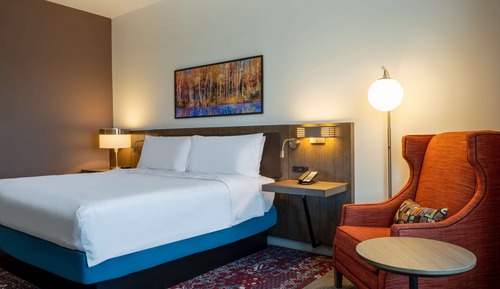 Room, 1 King Bed