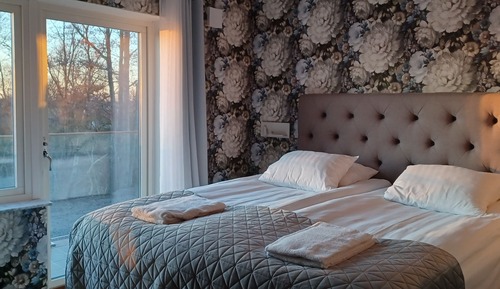Standard Studio Suite, 1 King Bed with Sofa bed